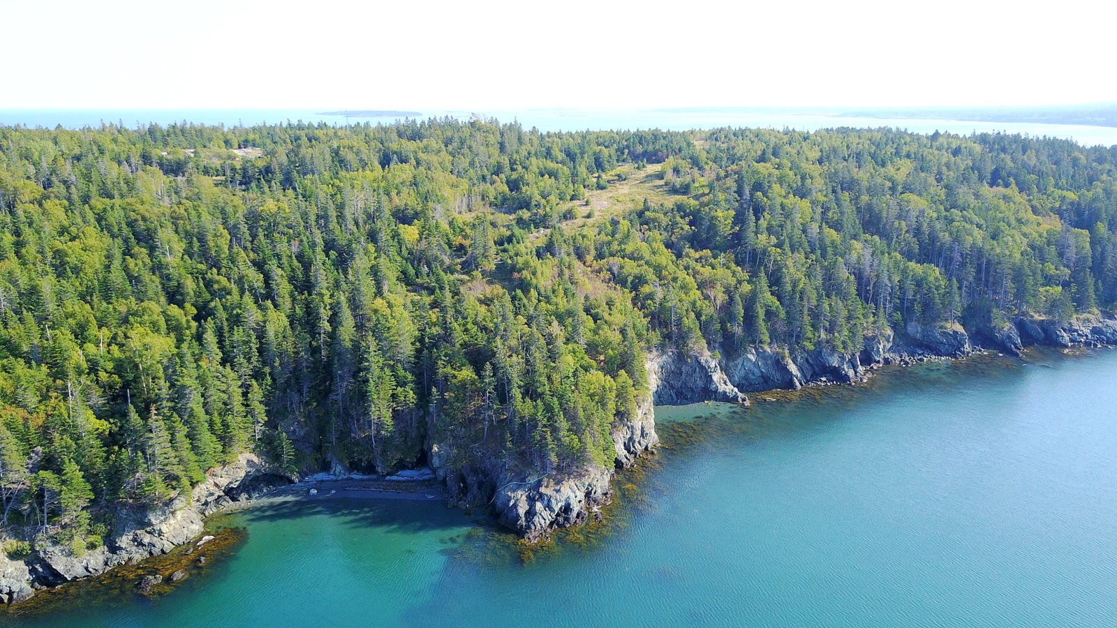 Dan Webster Grand Manan Real Estate New Brunswick