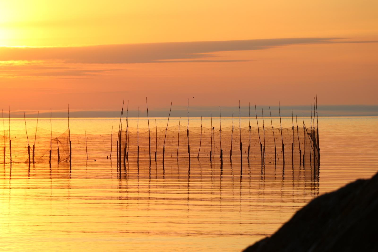 Dan ster Grand Manan Real Estate New Brunswick