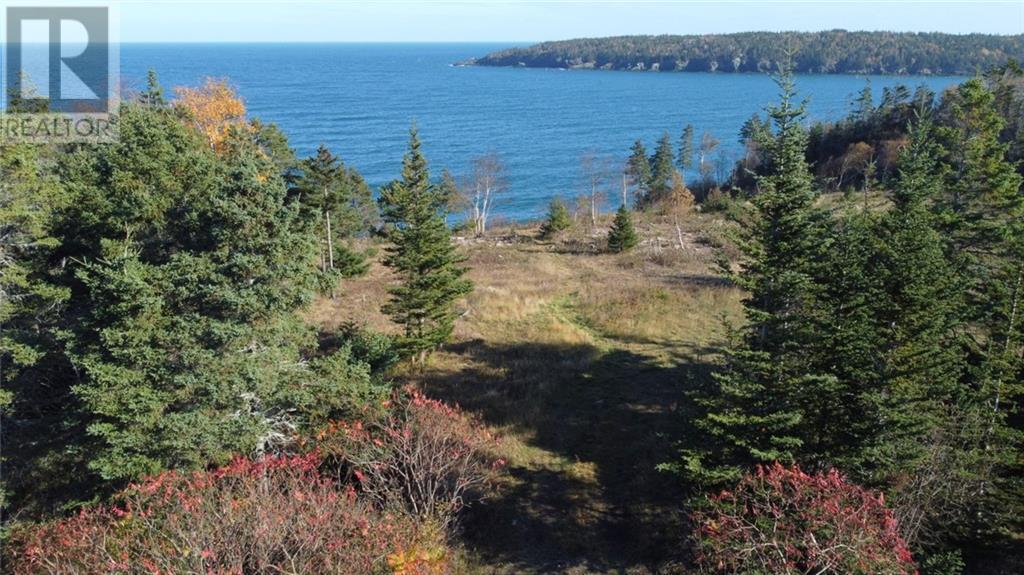 Lot 10-06 Golden Mile Drive, Grand Manan, New Brunswick  E5G 1N1 - Photo 12 - SJ150771