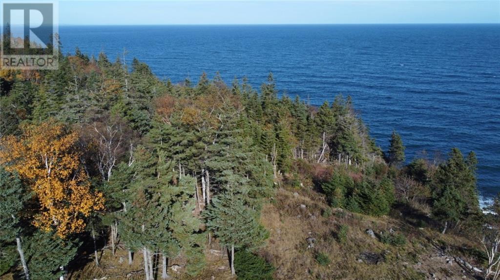 Lot 10-06 Golden Mile Drive, Grand Manan, New Brunswick  E5G 1N1 - Photo 14 - SJ150771