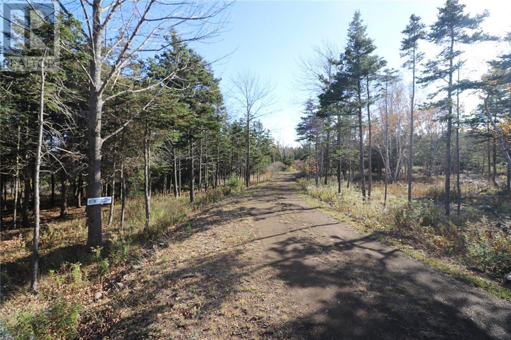 Lot 10-06 Golden Mile Drive, Grand Manan, New Brunswick  E5G 1N1 - Photo 17 - SJ150771