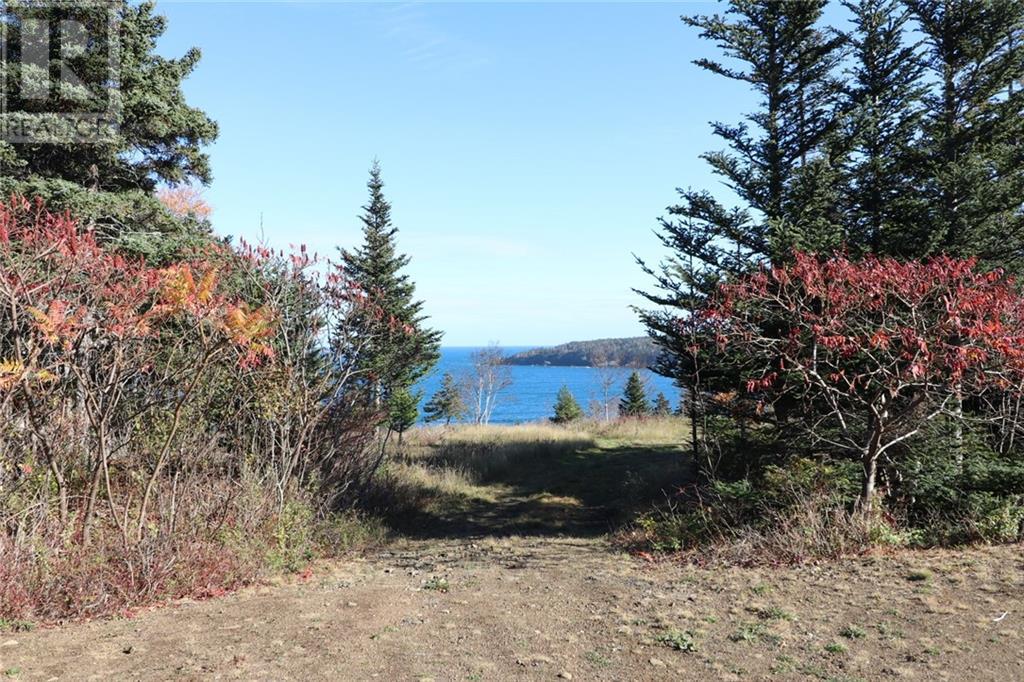 Lot 10-06 Golden Mile Drive, Grand Manan, New Brunswick  E5G 1N1 - Photo 21 - SJ150771