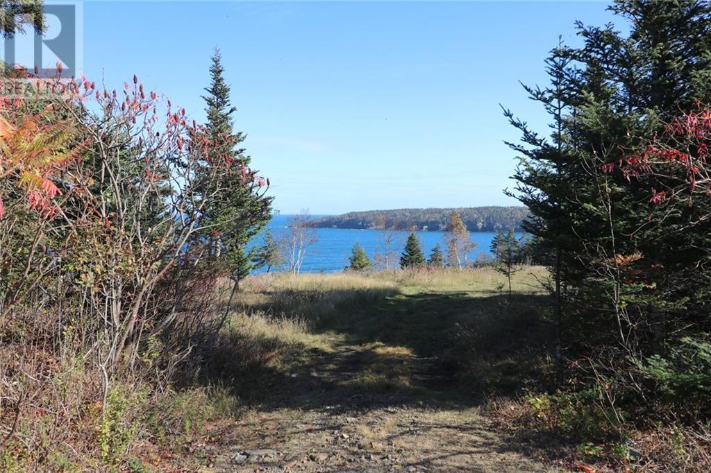 Lot 10-06 Golden Mile Drive, Grand Manan, New Brunswick  E5G 1N1 - Photo 22 - SJ150771