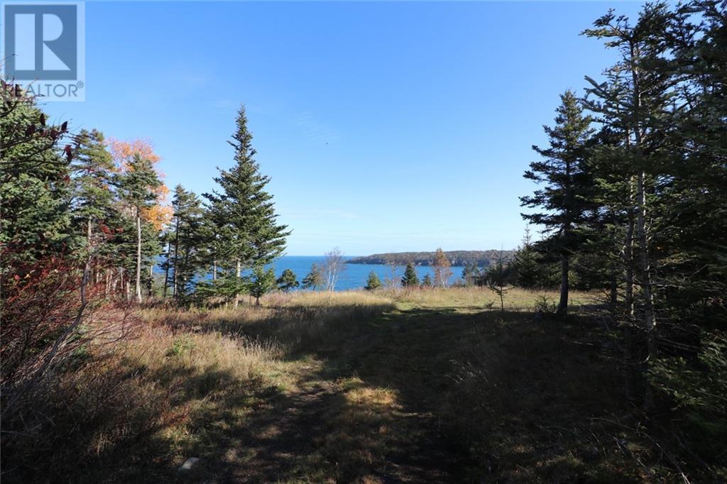 Lot 10-06 Golden Mile Drive, Grand Manan, New Brunswick  E5G 1N1 - Photo 25 - SJ150771