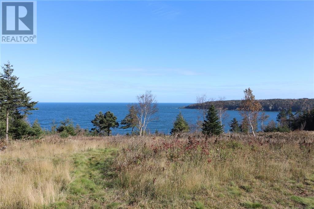 Lot 10-06 Golden Mile Drive, Grand Manan, New Brunswick  E5G 1N1 - Photo 27 - SJ150771