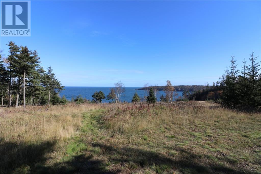 Lot 10-06 Golden Mile Drive, Grand Manan, New Brunswick  E5G 1N1 - Photo 28 - SJ150771