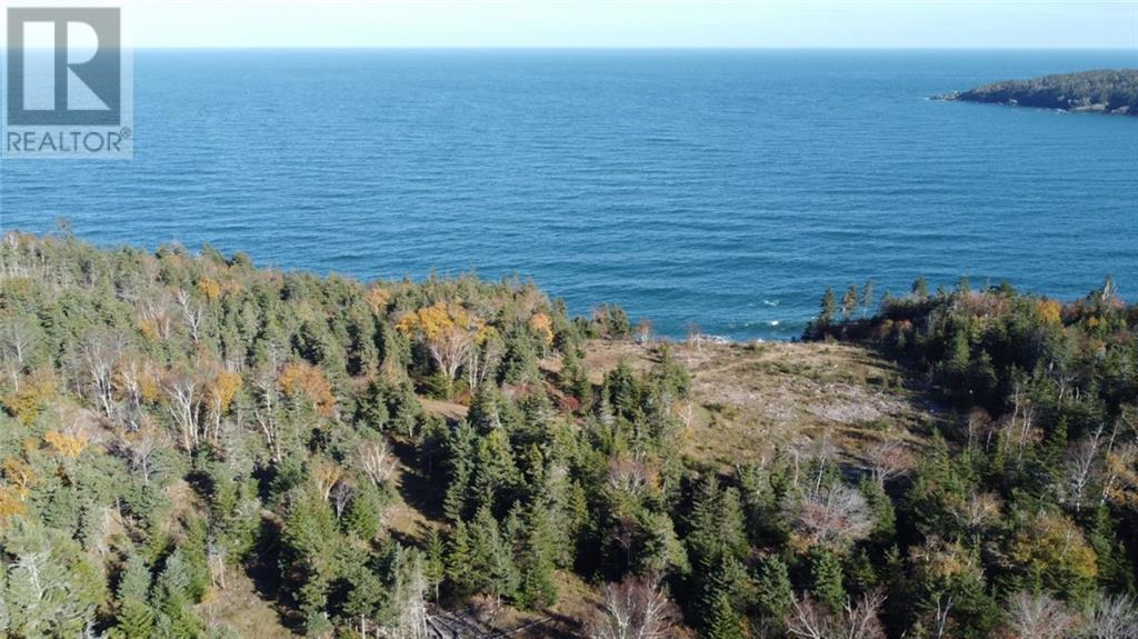 Lot 10-06 Golden Mile Drive, Grand Manan, New Brunswick  E5G 1N1 - Photo 7 - SJ150771