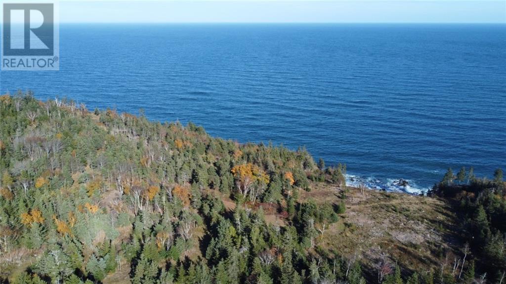 Lot 10-04 Golden Mile Drive, Grand Manan, New Brunswick  E5G 1N1 - Photo 10 - SJ150769