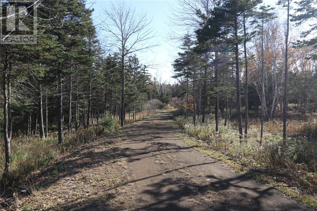 Lot 10-04 Golden Mile Drive, Grand Manan, New Brunswick  E5G 1N1 - Photo 18 - SJ150769