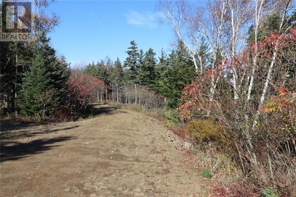 Lot 10-04 Golden Mile Drive, Grand Manan, New Brunswick  E5G 1N1 - Photo 24 - SJ150769