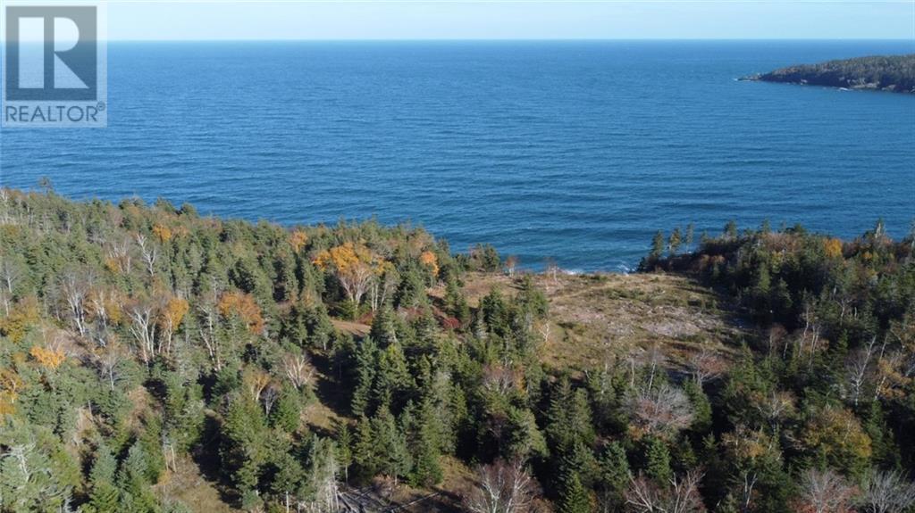 Lot 10-04 Golden Mile Drive, Grand Manan, New Brunswick  E5G 1N1 - Photo 8 - SJ150769