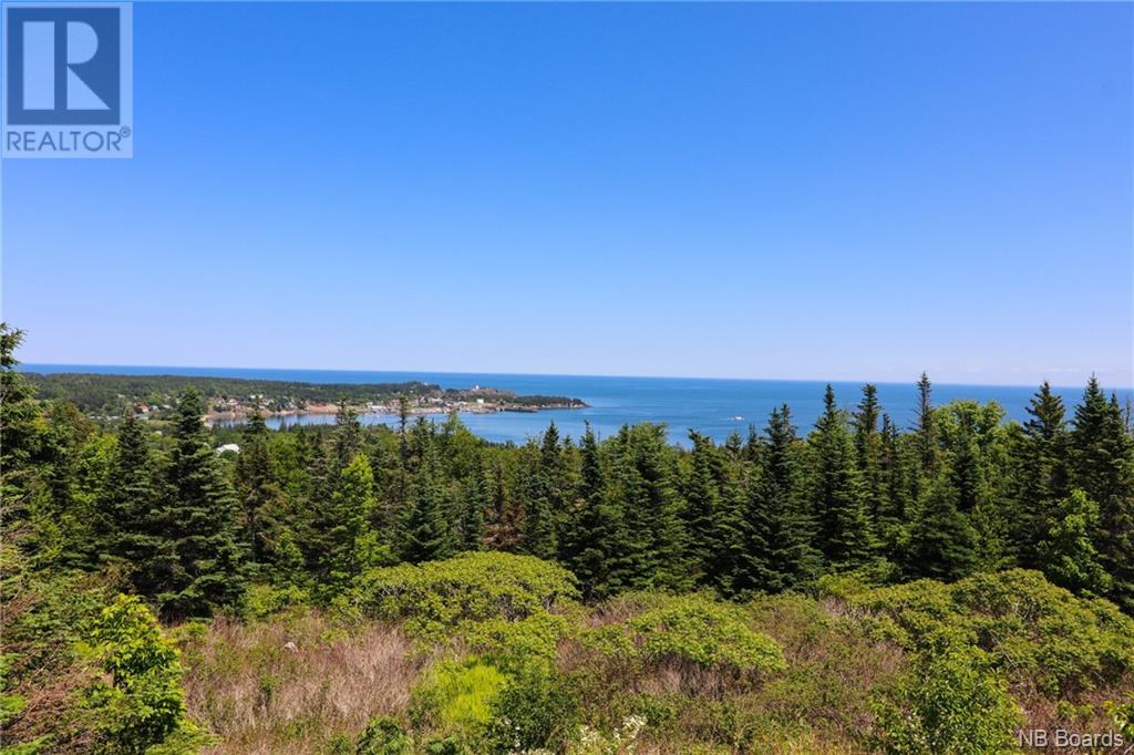 60 Ohio Pond Road, Grand Manan, New Brunswick  E5G 4B4 - Photo 49 - NB087604