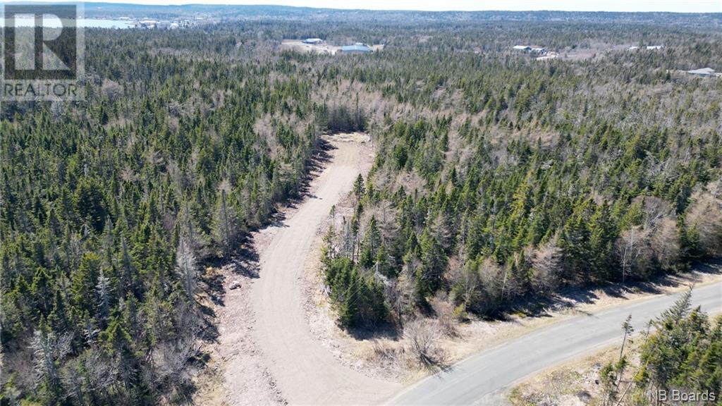 Lot 1 Shore Road, Grand Manan, New Brunswick  E5G 3E6 - Photo 2 - NB098704