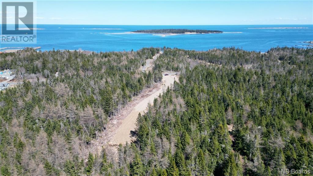 Lot 1 Shore Road, Grand Manan, New Brunswick  E5G 3E6 - Photo 4 - NB098704