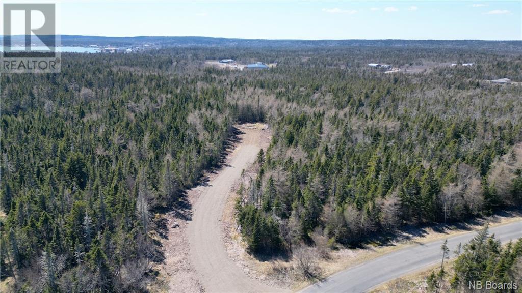 Lot 3 Shore Road, Grand Manan, New Brunswick  E5G 3E6 - Photo 6 - NB098730