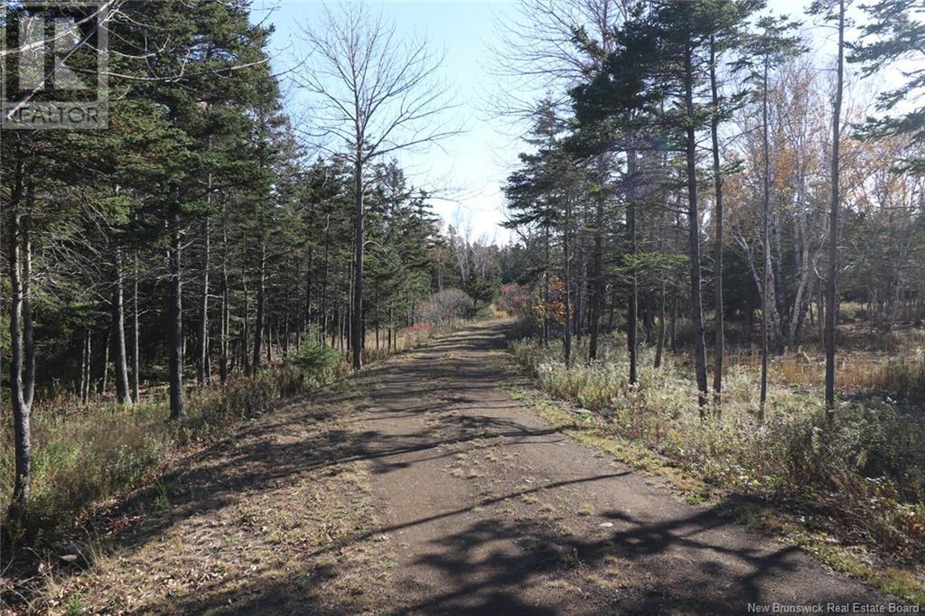 Lot 10-05 Golden Mile Drive, Grand Manan, New Brunswick  E5G 1N1 - Photo 16 - NB101561