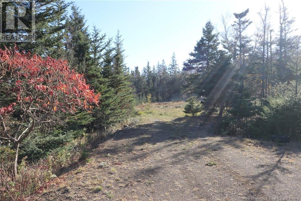 Lot 10-05 Golden Mile Drive, Grand Manan, New Brunswick  E5G 1N1 - Photo 21 - NB101561