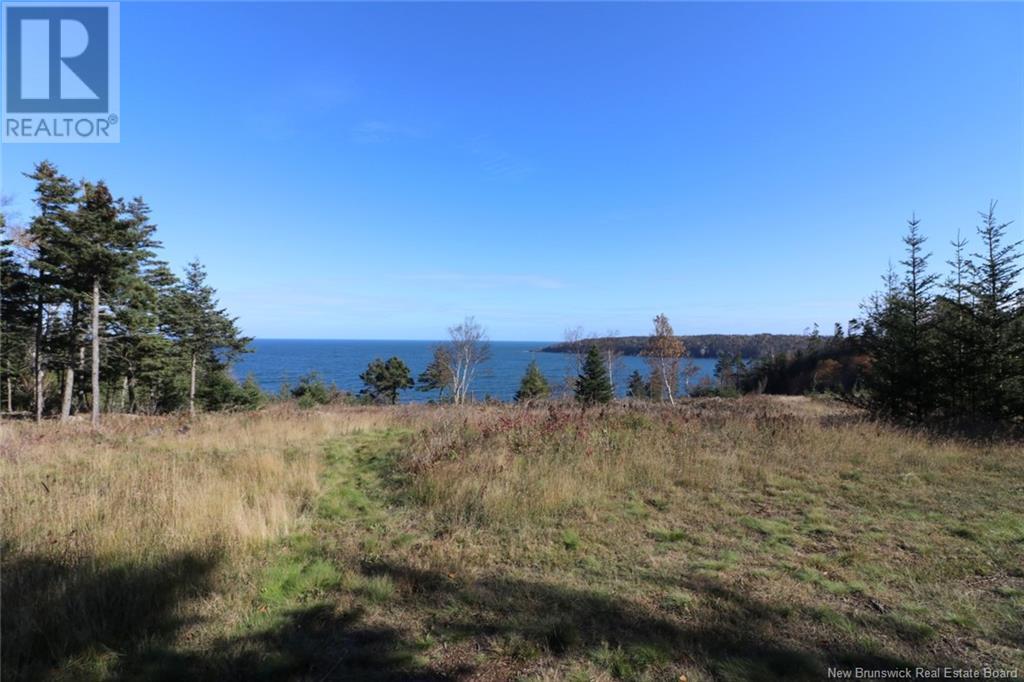 Lot 10-05 Golden Mile Drive, Grand Manan, New Brunswick  E5G 1N1 - Photo 26 - NB101561