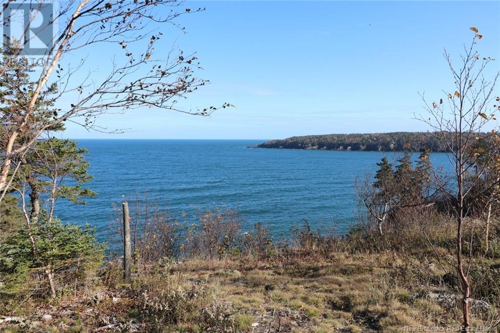 Lot 10-05 Golden Mile Drive, Grand Manan, New Brunswick  E5G 1N1 - Photo 27 - NB101561