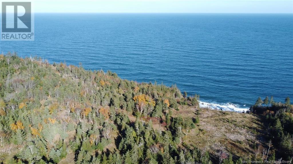 Lot 10-05 Golden Mile Drive, Grand Manan, New Brunswick  E5G 1N1 - Photo 7 - NB101561