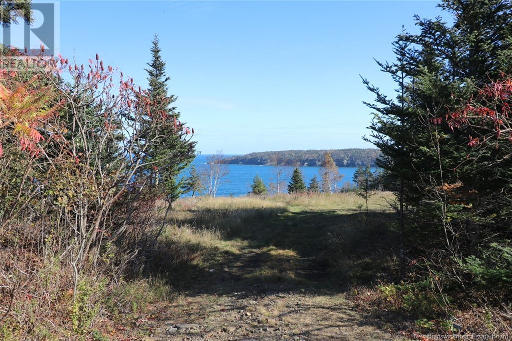 Lot 10-03 Golden Mile Drive, Grand Manan, New Brunswick  E5G 1N1 - Photo 20 - NB102070