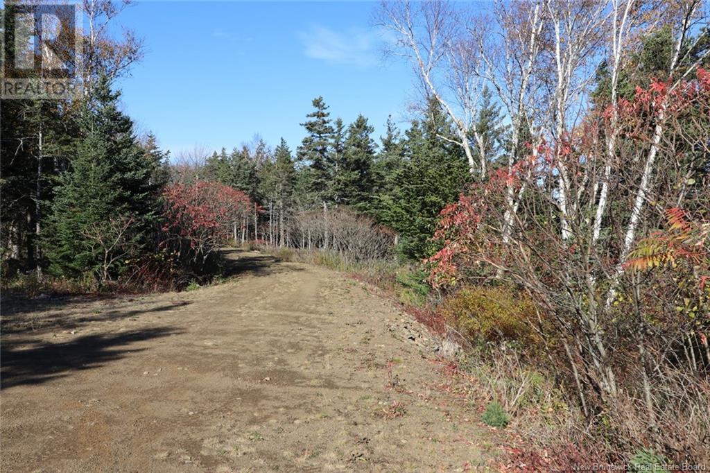 Lot 10-02 Golden Mile Drive, Grand Manan, New Brunswick  E5G 1N1 - Photo 22 - NB102064