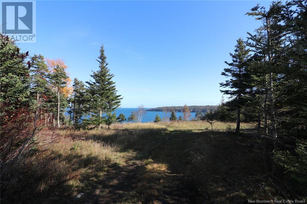 Lot 10-02 Golden Mile Drive, Grand Manan, New Brunswick  E5G 1N1 - Photo 23 - NB102064