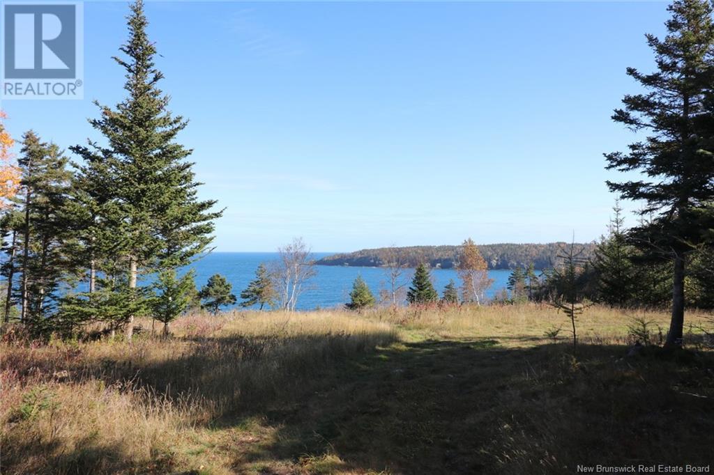 Lot 10-01 Golden Mile Drive, Grand Manan, New Brunswick  E5G 1N1 - Photo 24 - NB102061