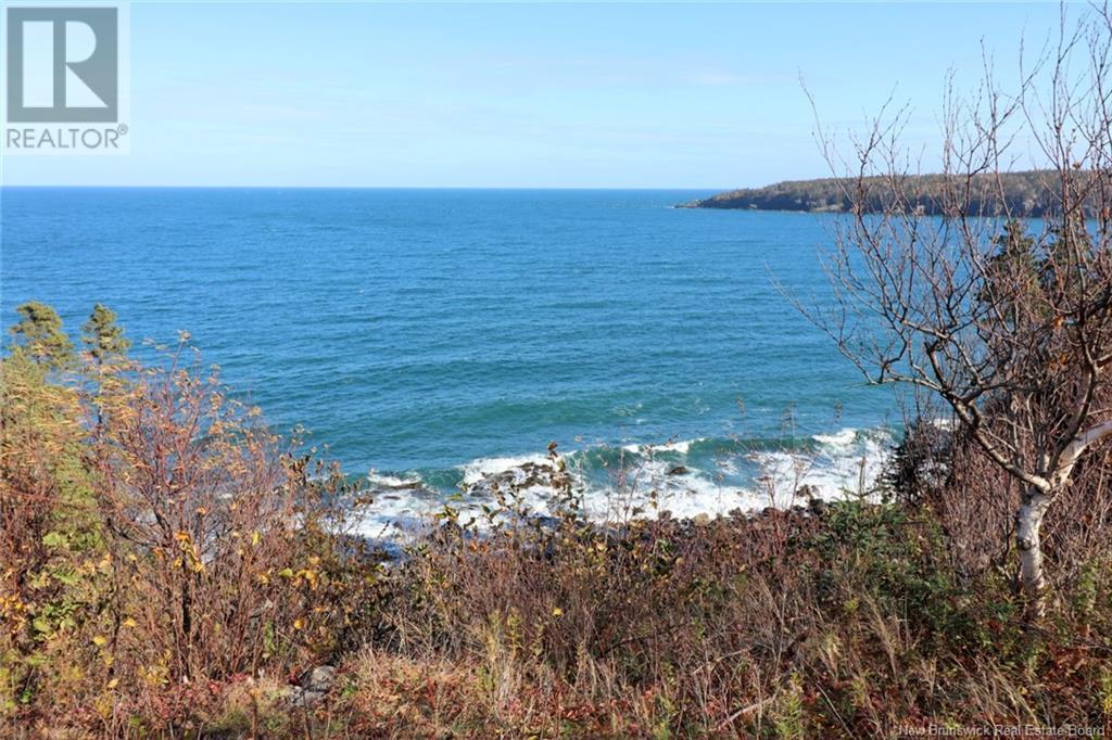 Lot 10-01 Golden Mile Drive, Grand Manan, New Brunswick  E5G 1N1 - Photo 28 - NB102061