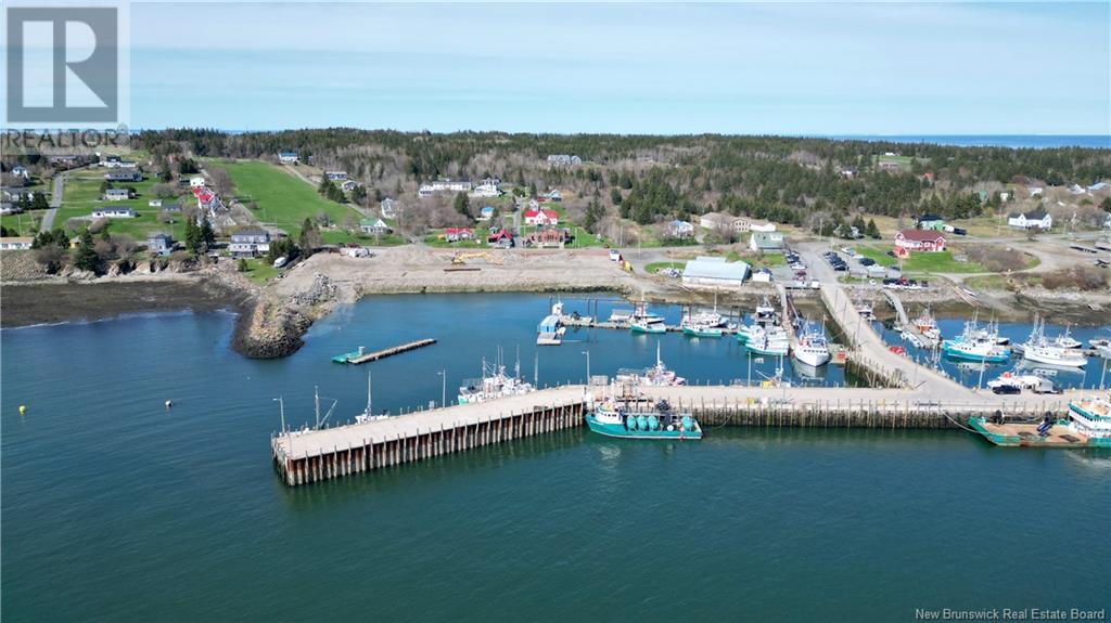 60 Route 776, Grand Manan, New Brunswick  E5G 1A1 - Photo 4 - NB118522