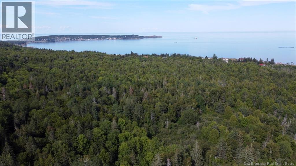 Bayview Heights, Grand Manan, New Brunswick  E5G 1C1 - Photo 2 - NB126387