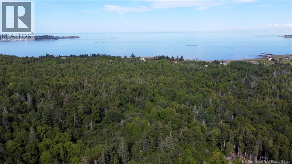 Bayview Heights, Grand Manan, New Brunswick  E5G 1C1 - Photo 4 - NB126387