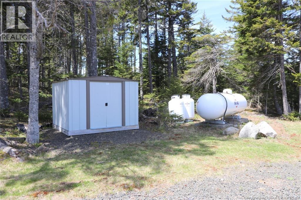 Crabbe Road - Middle Dam, Grand Manan, New Brunswick  E5G 4C8 - Photo 8 - NB126399