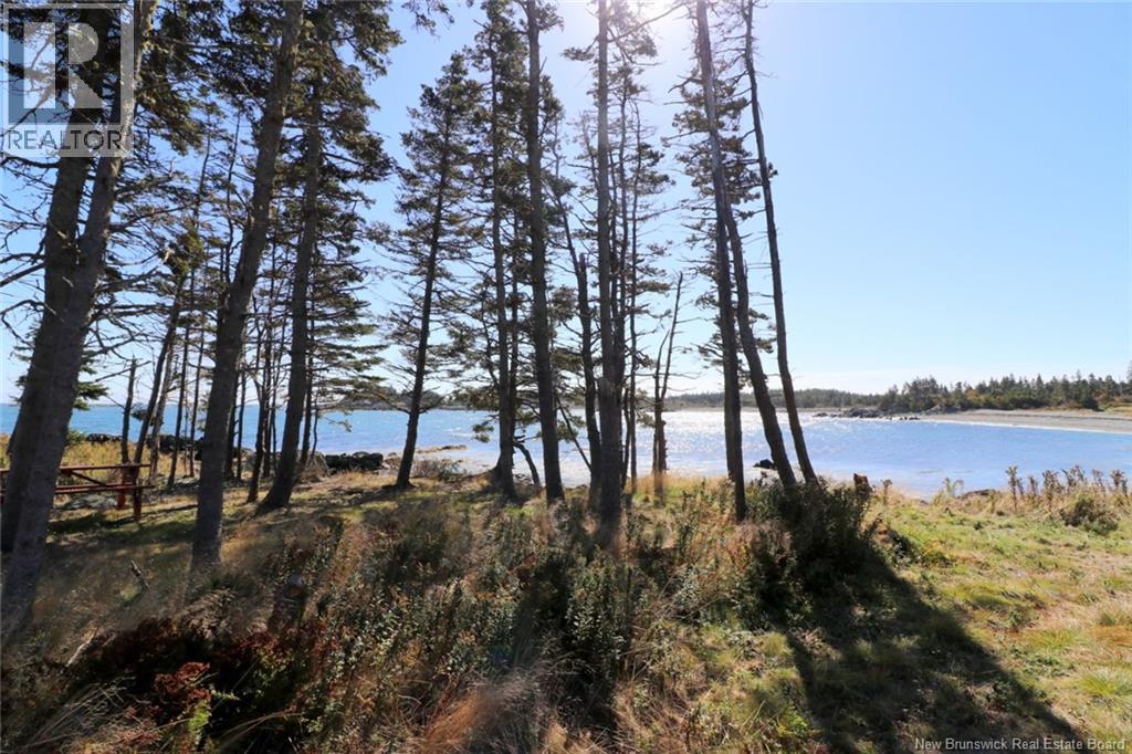 463 White Head Road, Grand Manan, New Brunswick E5G 2K1 - Photo 10 - NB130709