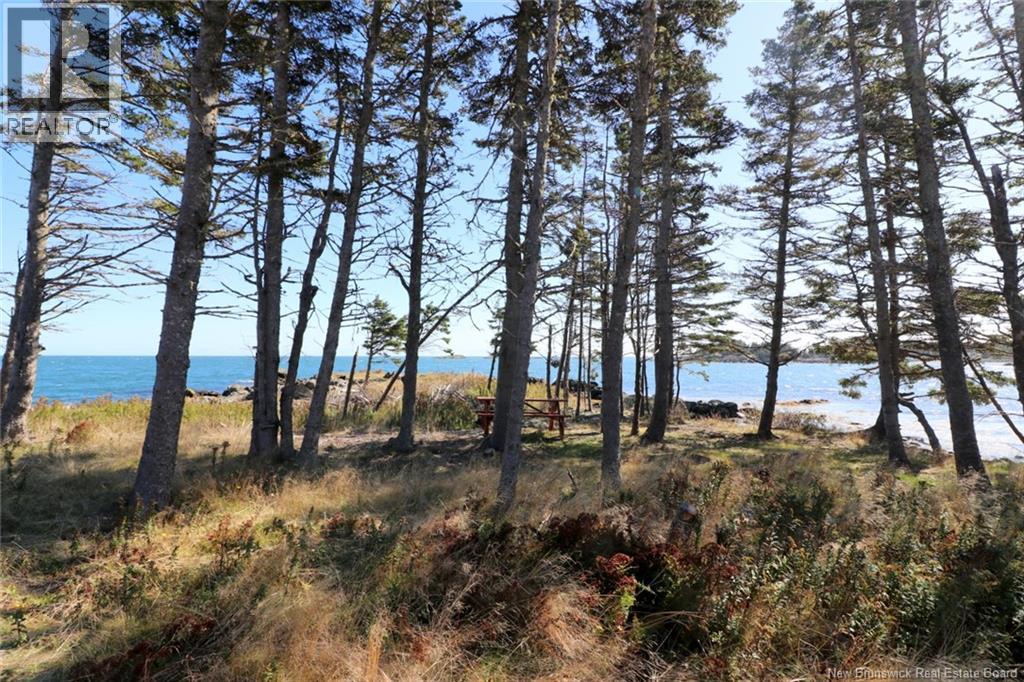 463 White Head Road, Grand Manan, New Brunswick E5G 2K1 - Photo 11 - NB130709