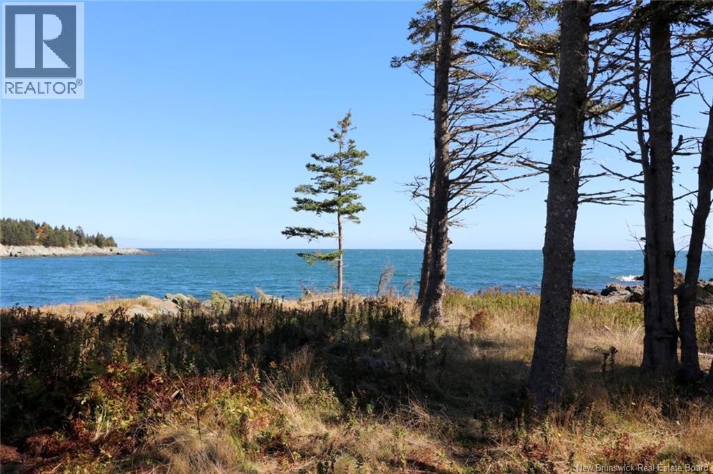 463 White Head Road, Grand Manan, New Brunswick E5G 2K1 - Photo 12 - NB130709