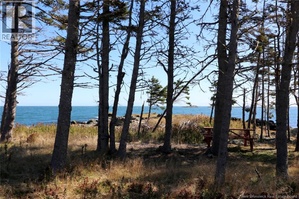 463 White Head Road, Grand Manan, New Brunswick E5G 2K1 - Photo 13 - NB130709