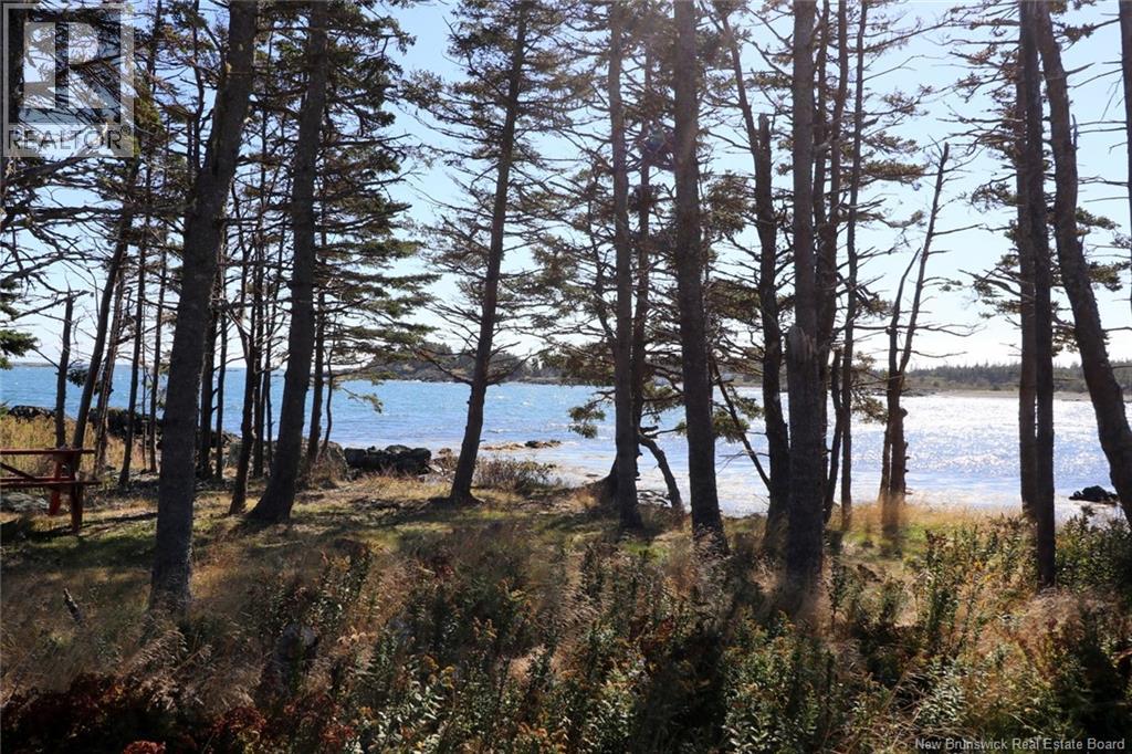 463 White Head Road, Grand Manan, New Brunswick E5G 2K1 - Photo 14 - NB130709