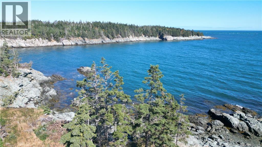 463 White Head Road, Grand Manan, New Brunswick E5G 2K1 - Photo 3 - NB130709