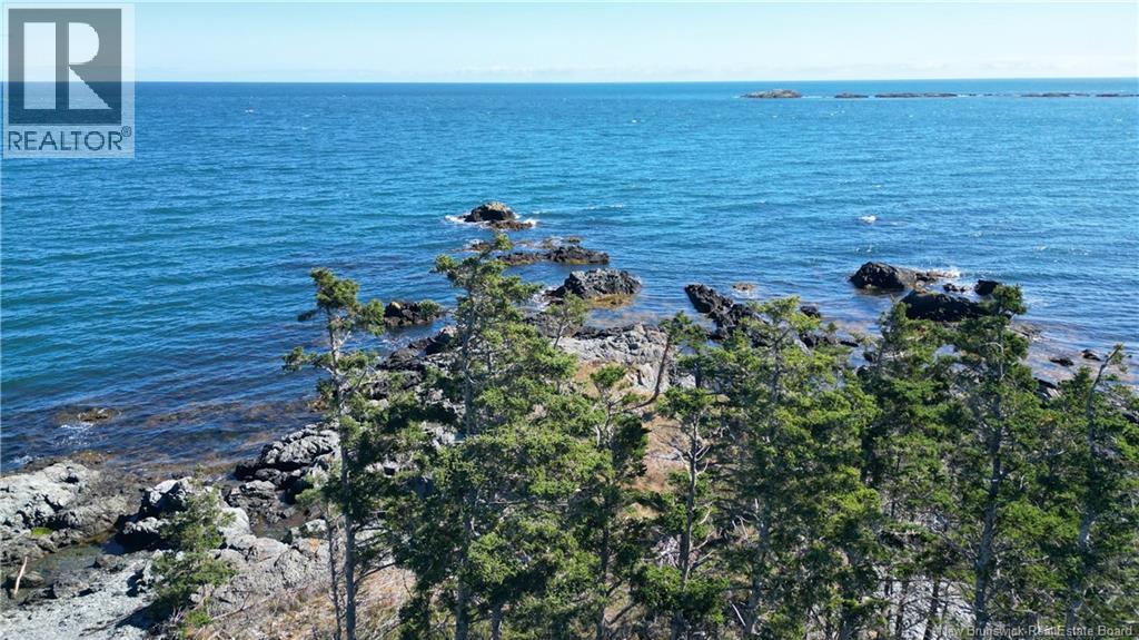 463 White Head Road, Grand Manan, New Brunswick E5G 2K1 - Photo 4 - NB130709