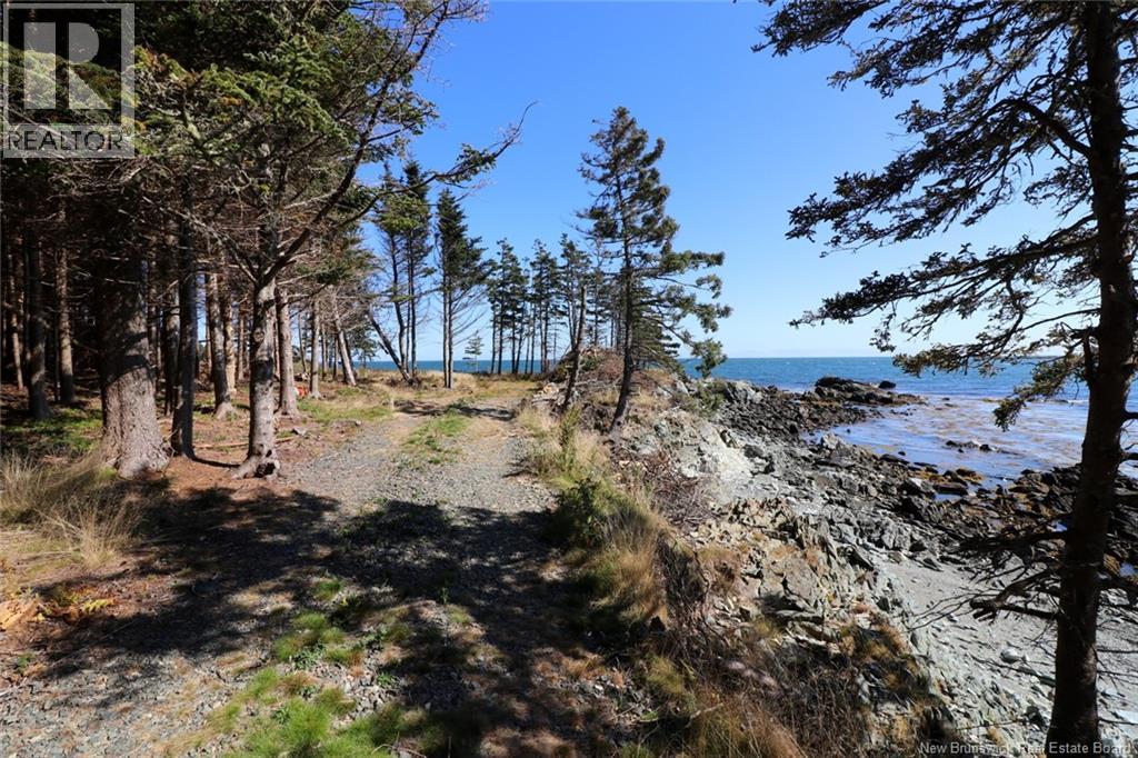 463 White Head Road, Grand Manan, New Brunswick E5G 2K1 - Photo 8 - NB130709