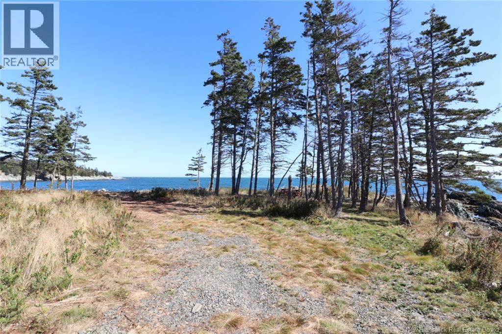 463 White Head Road, Grand Manan, New Brunswick E5G 2K1 - Photo 9 - NB130709