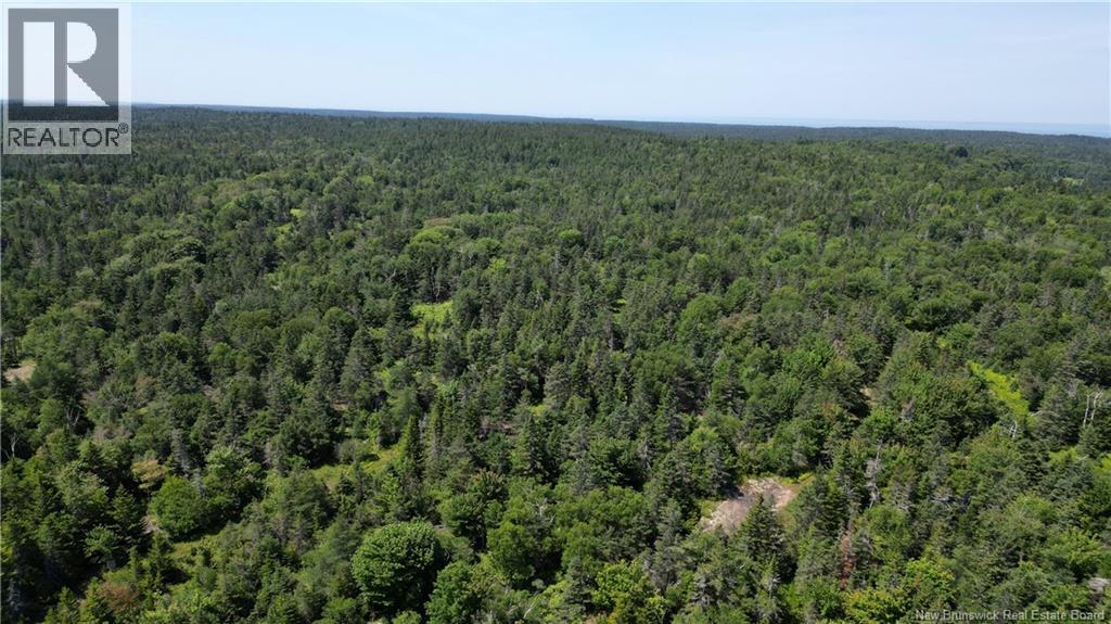 Money Cove Brook, Grand Manan, New Brunswick E5G 1L8 - Photo 11 - NB132276