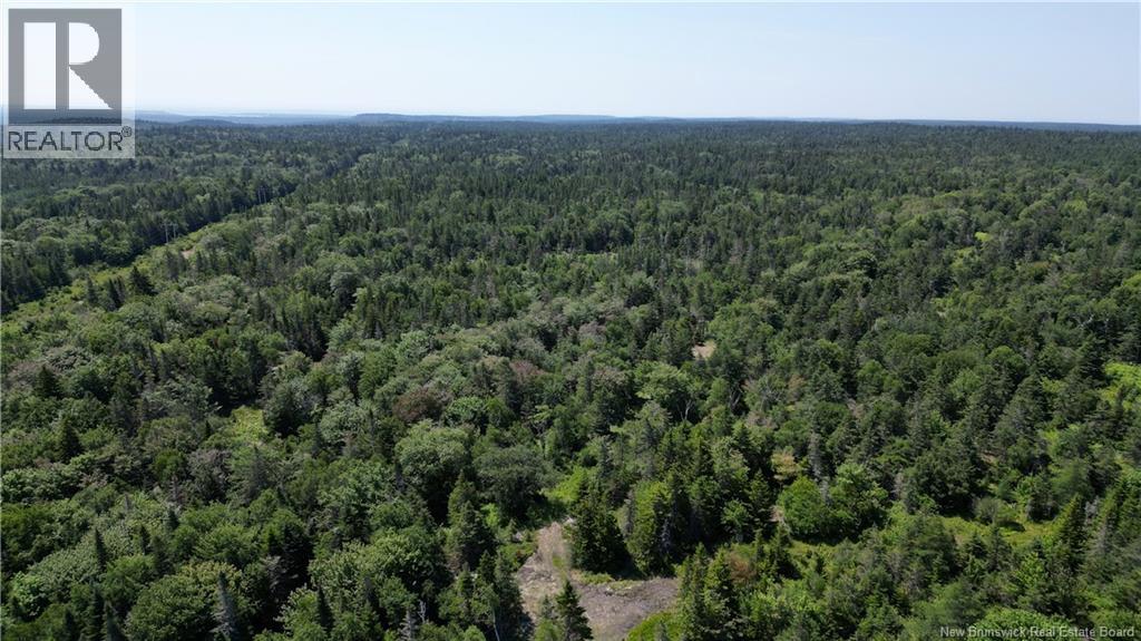 Money Cove Brook, Grand Manan, New Brunswick E5G 1L8 - Photo 12 - NB132276