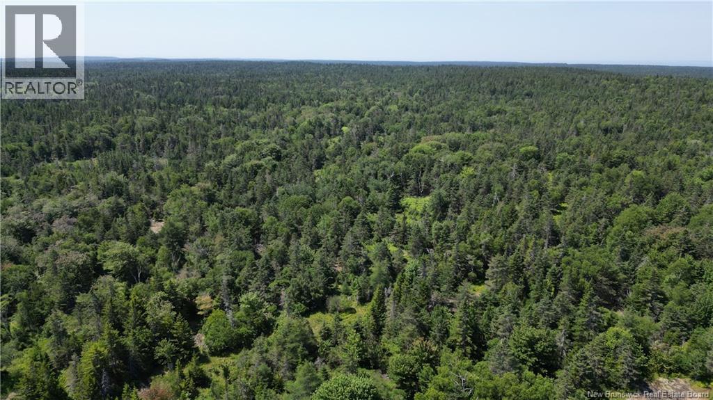 Money Cove Brook, Grand Manan, New Brunswick E5G 1L8 - Photo 14 - NB132276