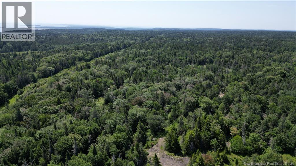 Money Cove Brook, Grand Manan, New Brunswick E5G 1L8 - Photo 15 - NB132276