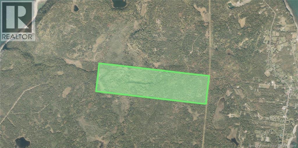 Money Cove Brook, Grand Manan, New Brunswick  E5G 1L8 - Photo 2 - NB132276