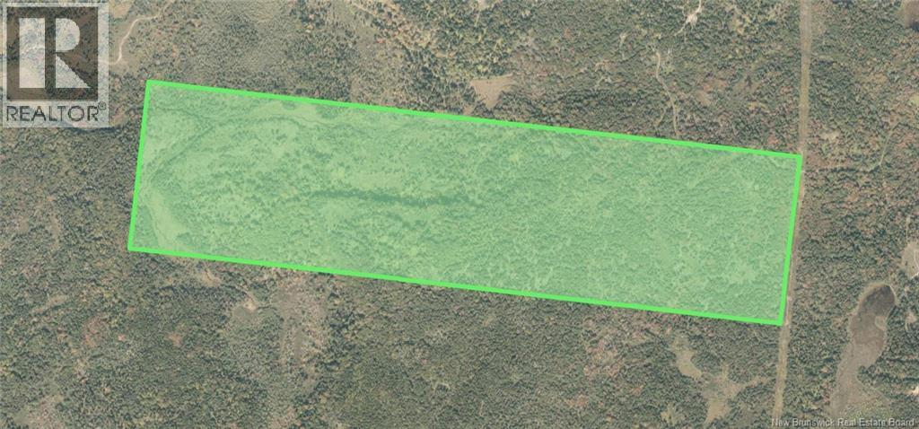 Money Cove Brook, Grand Manan, New Brunswick  E5G 1L8 - Photo 3 - NB132276