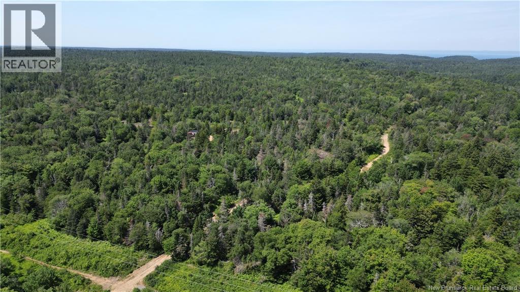Money Cove Brook, Grand Manan, New Brunswick E5G 1L8 - Photo 5 - NB132276