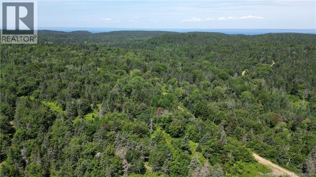 Money Cove Brook, Grand Manan, New Brunswick E5G 1L8 - Photo 9 - NB132276